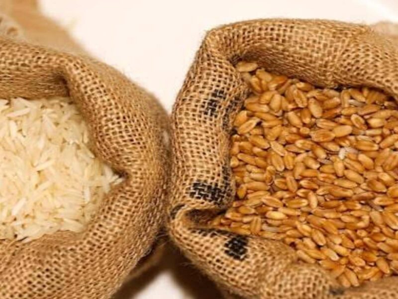 sikar-mid-day-meal-foodgrain-allocation-july-september-2026