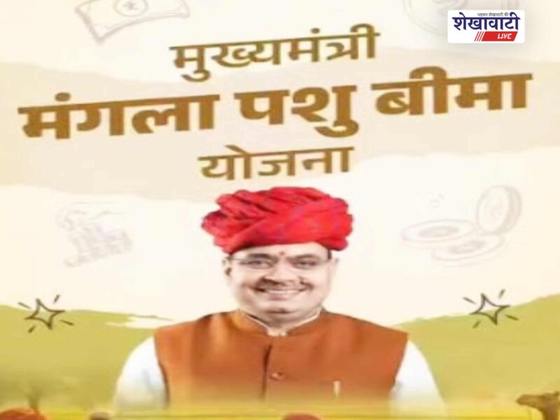sikar-mukhyamantri-mangal-pashu-bima-yojana-sheep-insurance-claim