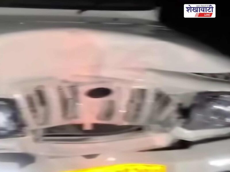 fatehpur-churu-highway-buffalo-killed-pickup-accident