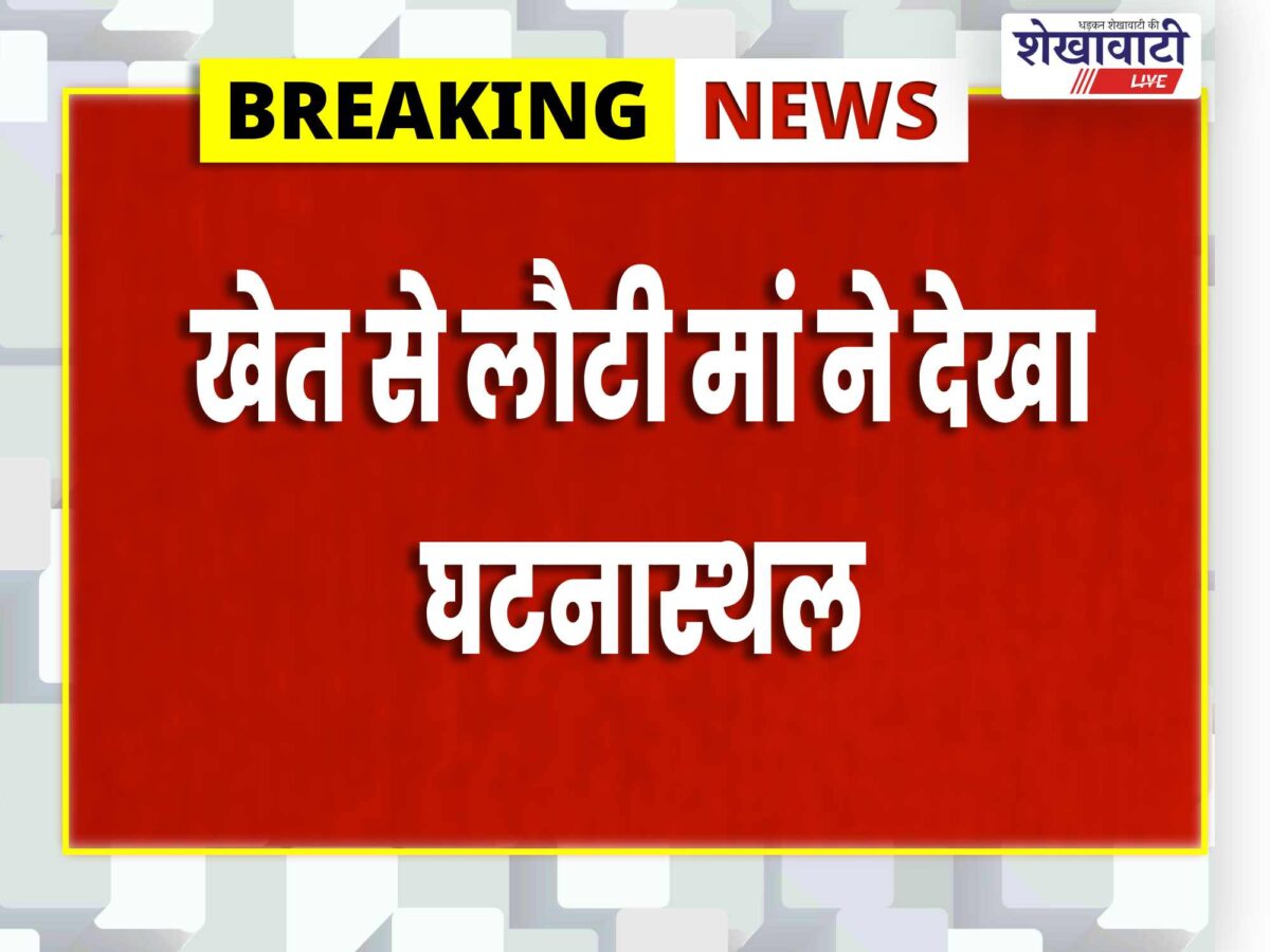 ratangarh-man-attacks-sister-in-law-and-niece-with-axe-dies-by-suicide
