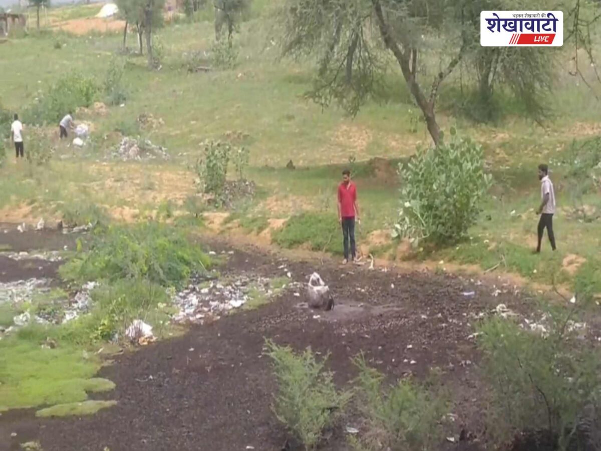 rajladesar-dumping-yard-cow-trapped-sewer-waste-rescue