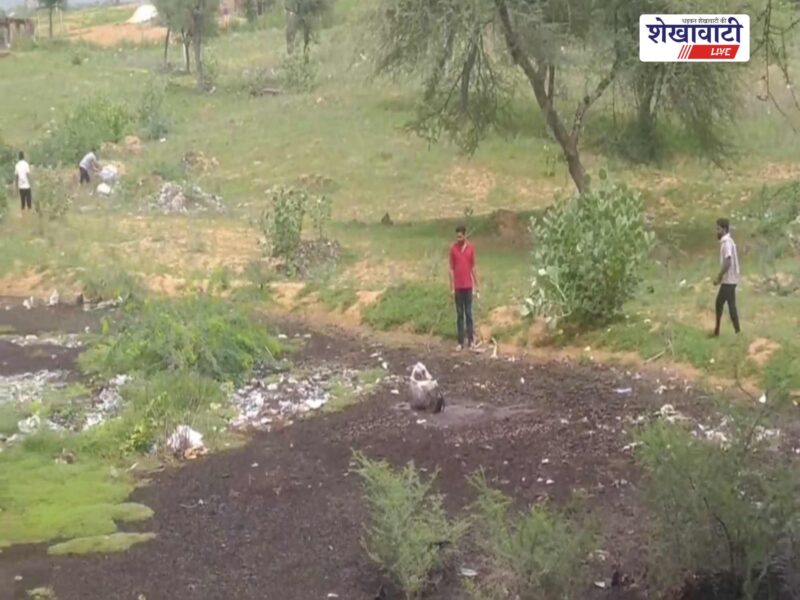 rajladesar-dumping-yard-cow-trapped-sewer-waste-rescue