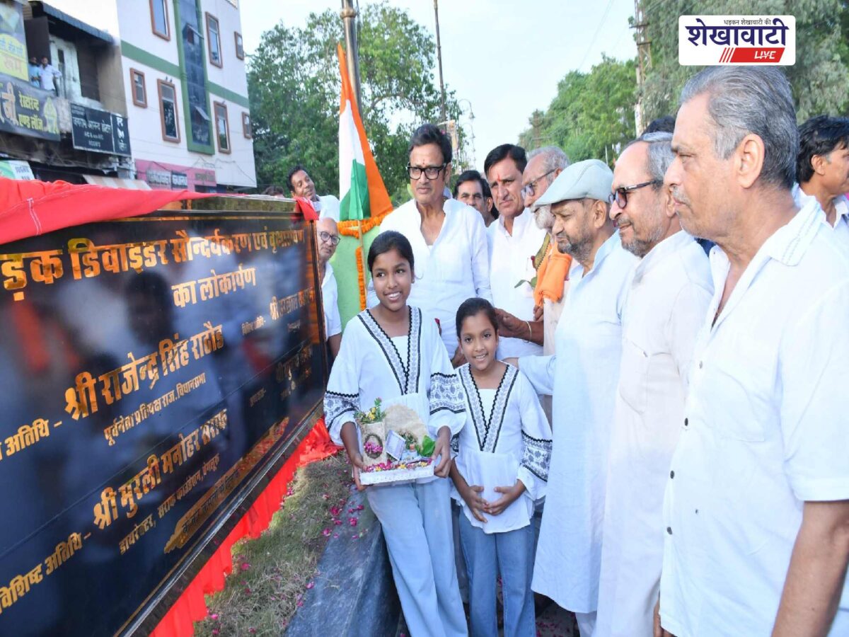 churu-railway-station-divider-beautification-plantation