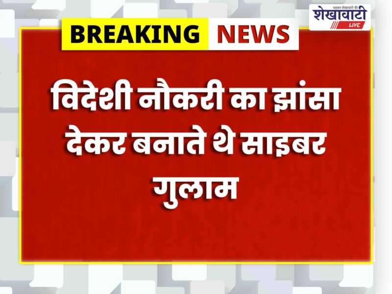 rajasthan-police-cyber-slavery-network-3-more-arrested-total-8