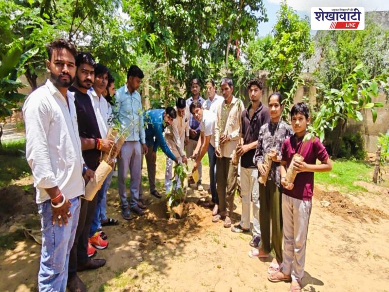 singhana-vishnu-dham-tree-plantation-drive-sahyog-ek-pahal-21000-plants