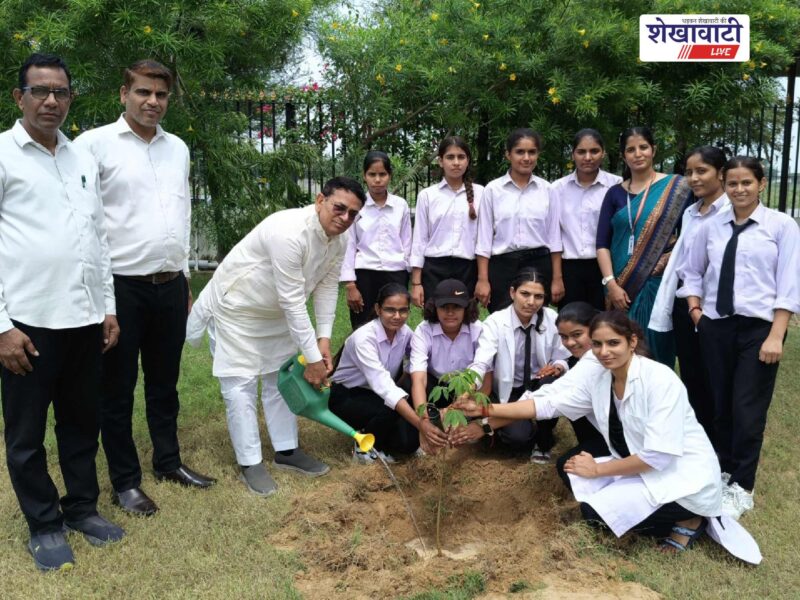 mandawa-career-college-tree-plantation-environment-awareness-program