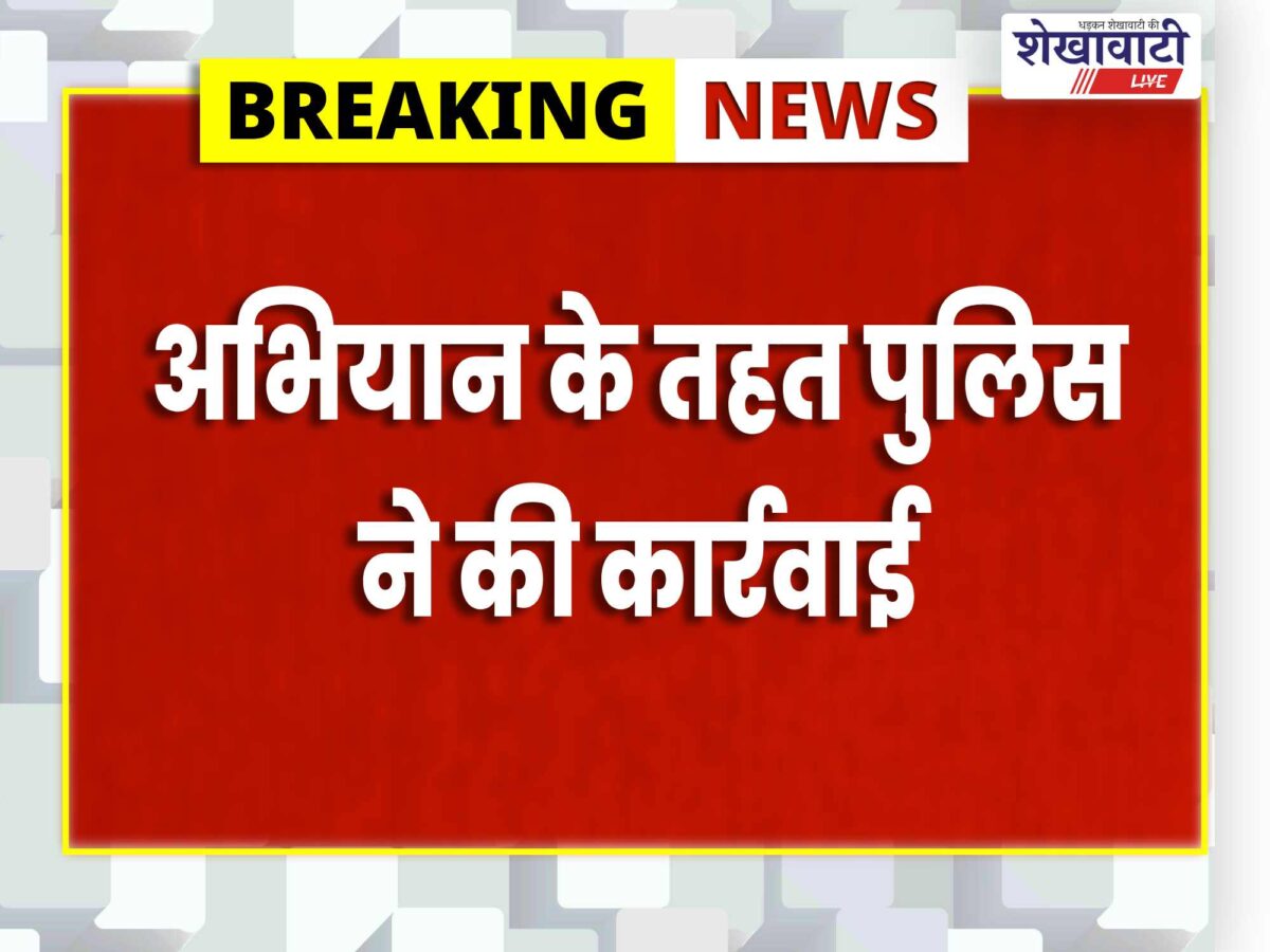jhunjhunu-mehada-police-ganja-plants-seized-accused-arrested