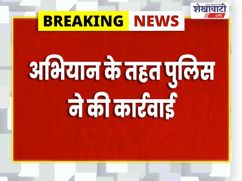 jhunjhunu-mehada-police-ganja-plants-seized-accused-arrested