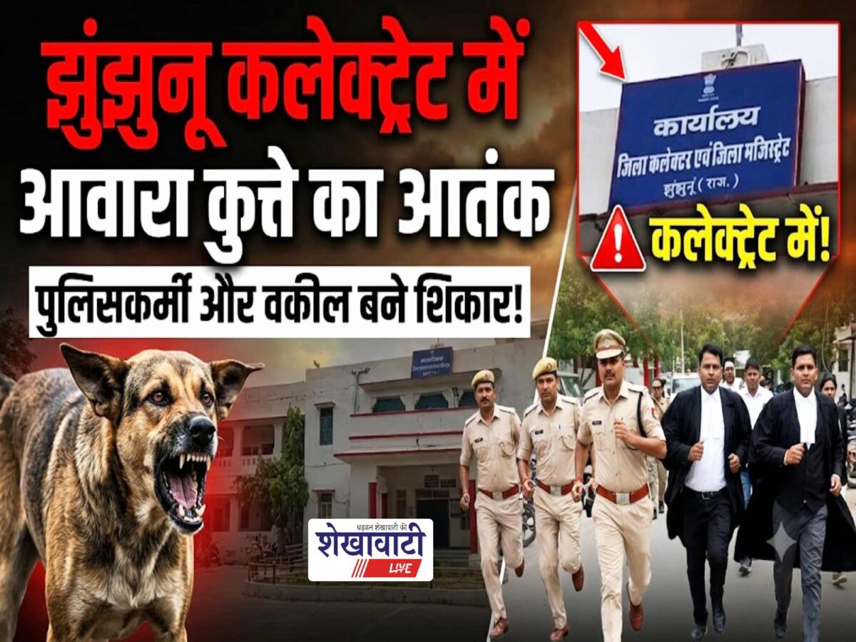 Video News : झुंझुनू कलेक्ट्रेट में आवारा कुत्ते का आतंक, पुलिसकर्मियों और वकीलों को बनाया शिकार!