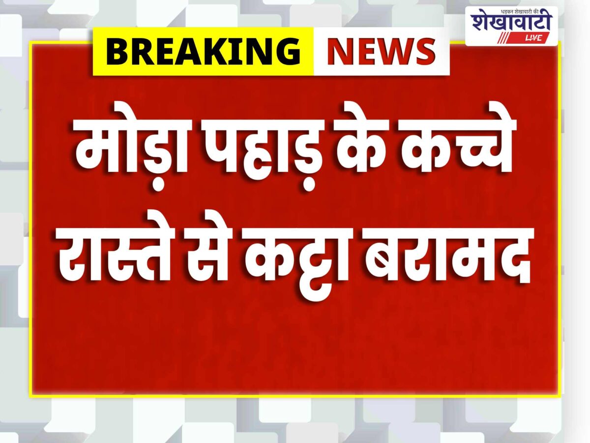 jhunjhunu-illegal-country-made-pistol-three-cartridges-accused-arrested