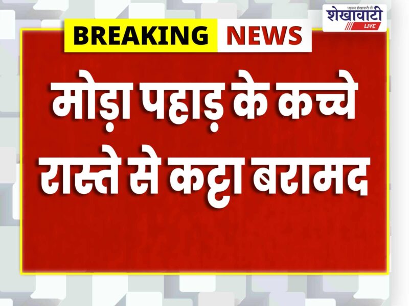 jhunjhunu-illegal-country-made-pistol-three-cartridges-accused-arrested