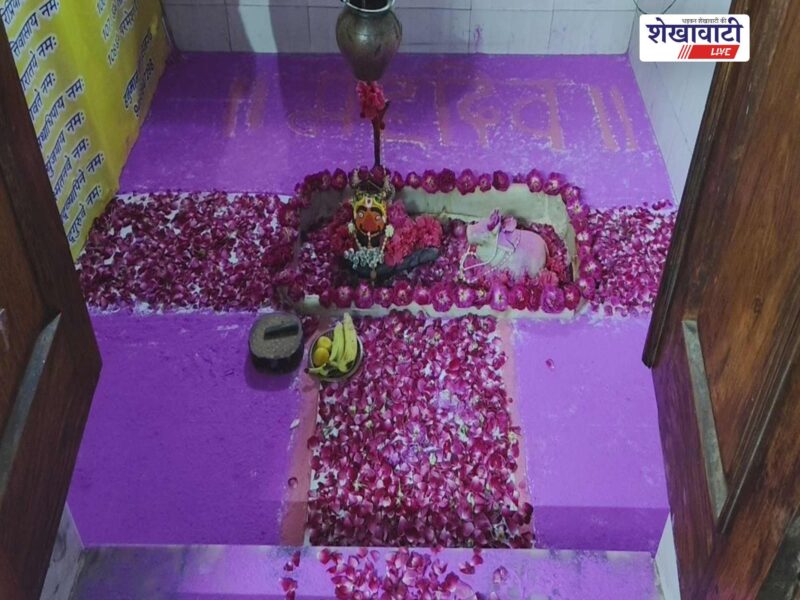 nag-panchami-third-sawan-monday-churu-2026