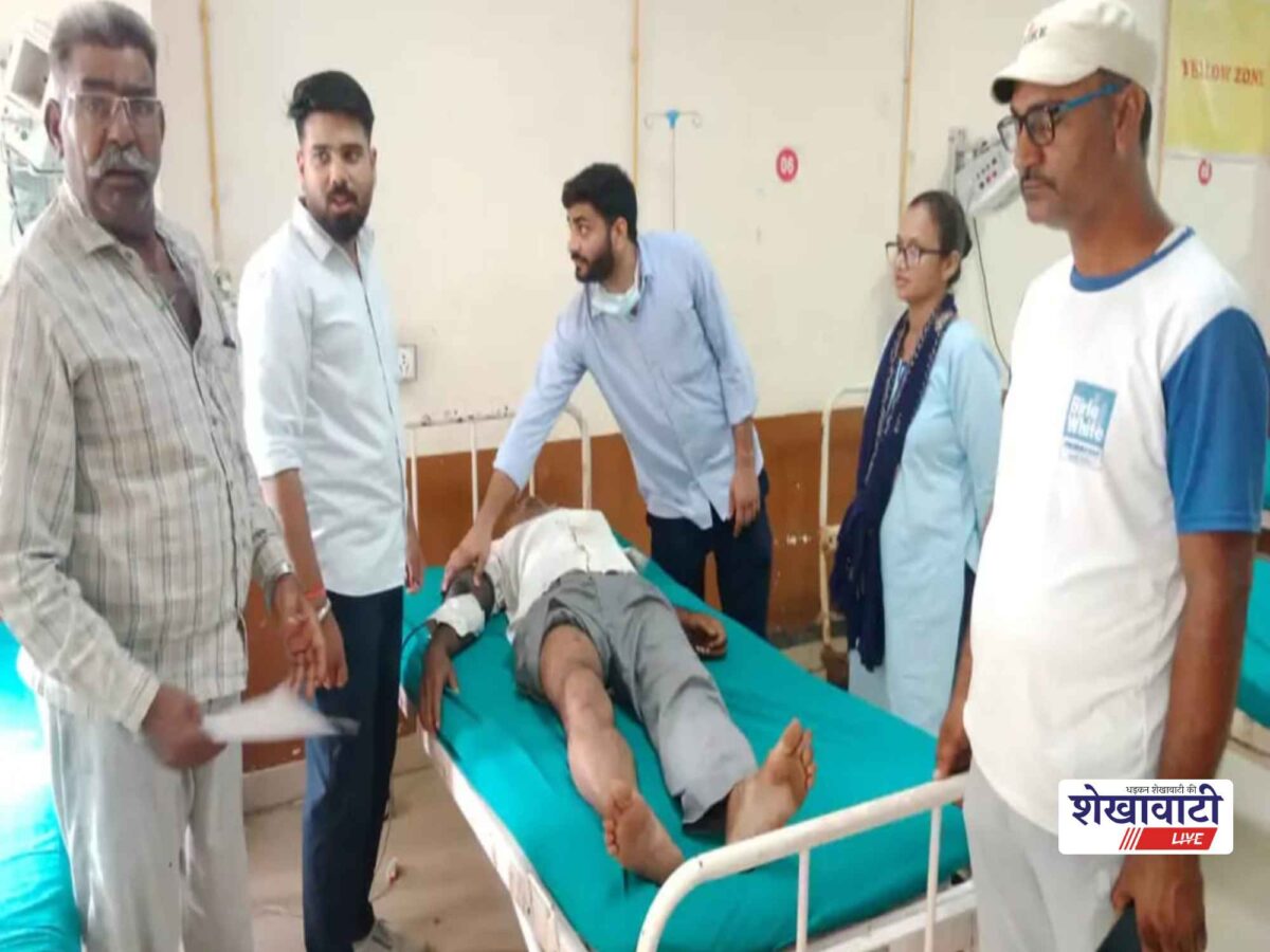 चूरू में आवारा सूअर का हमला, 54 वर्षीय व्यक्ति के पैर में गंभीर चोट