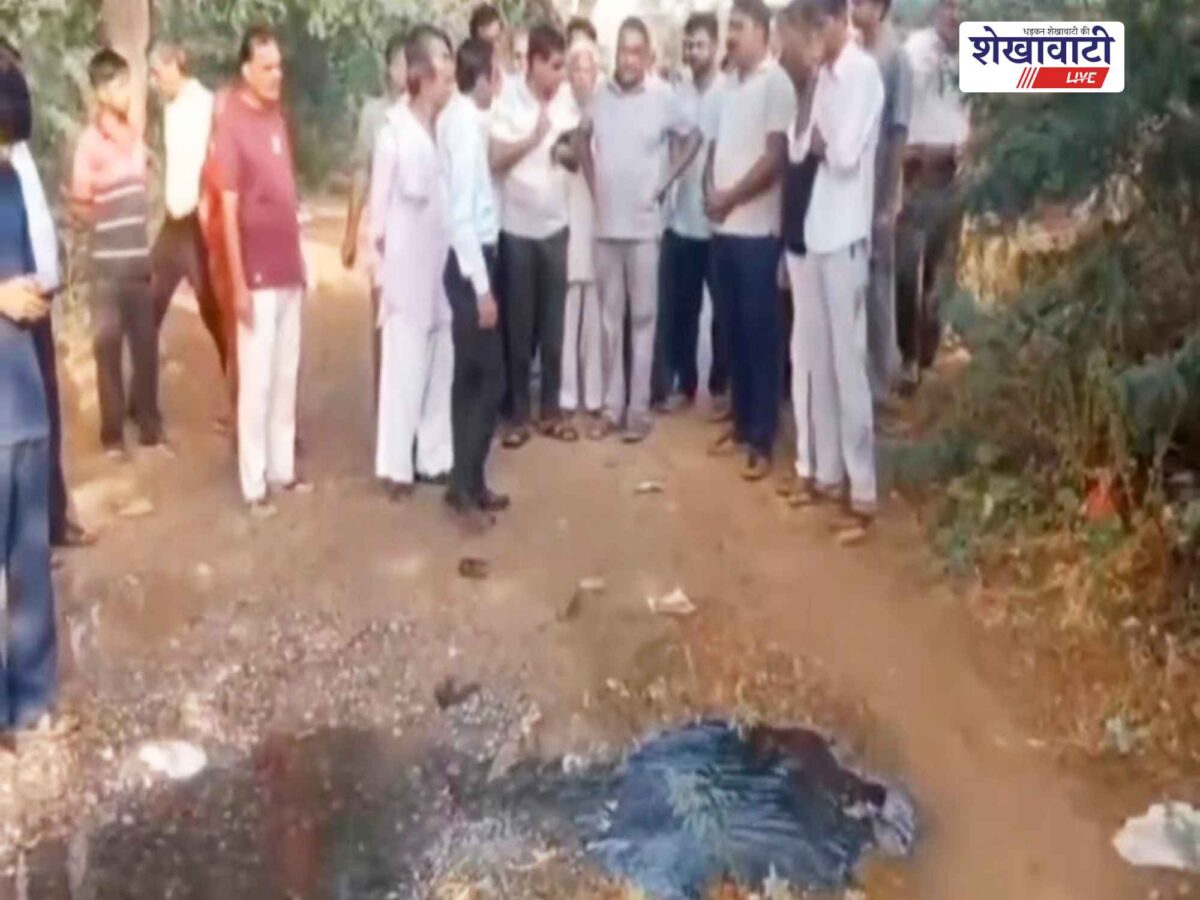 churu-municipal-chairman-vinay-goenka-ward-inspection
