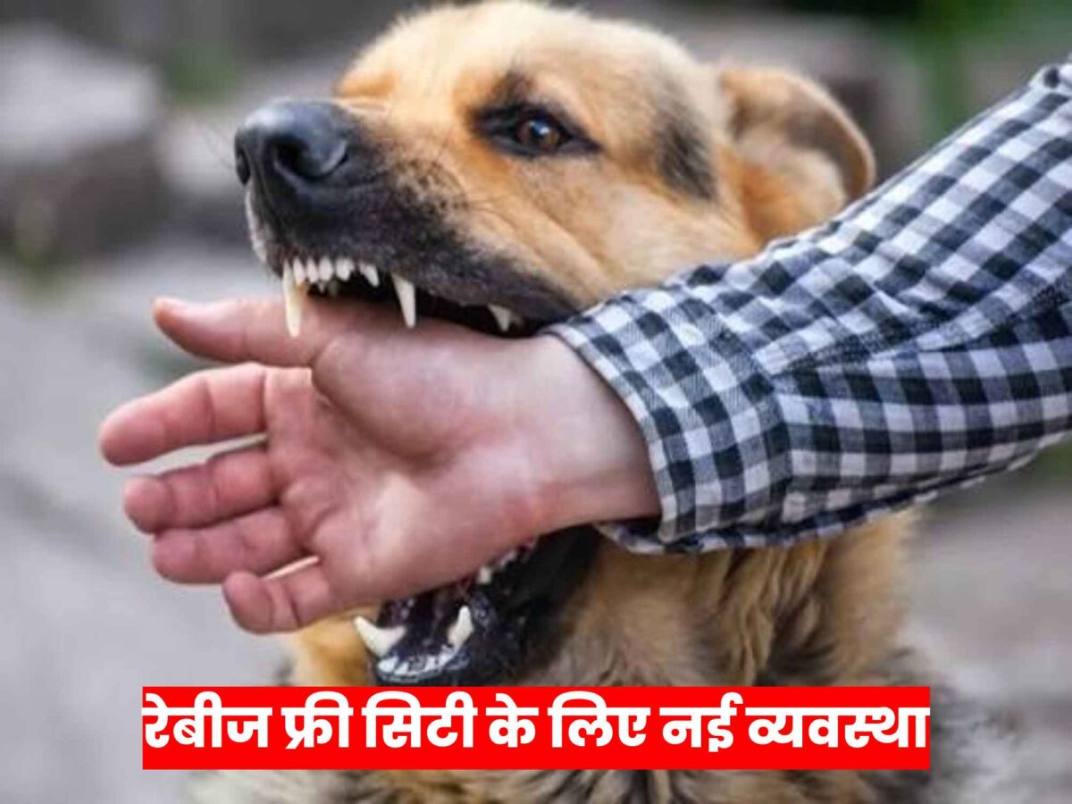 dog-bite-city-accountability-waste-management-dog-sterilization