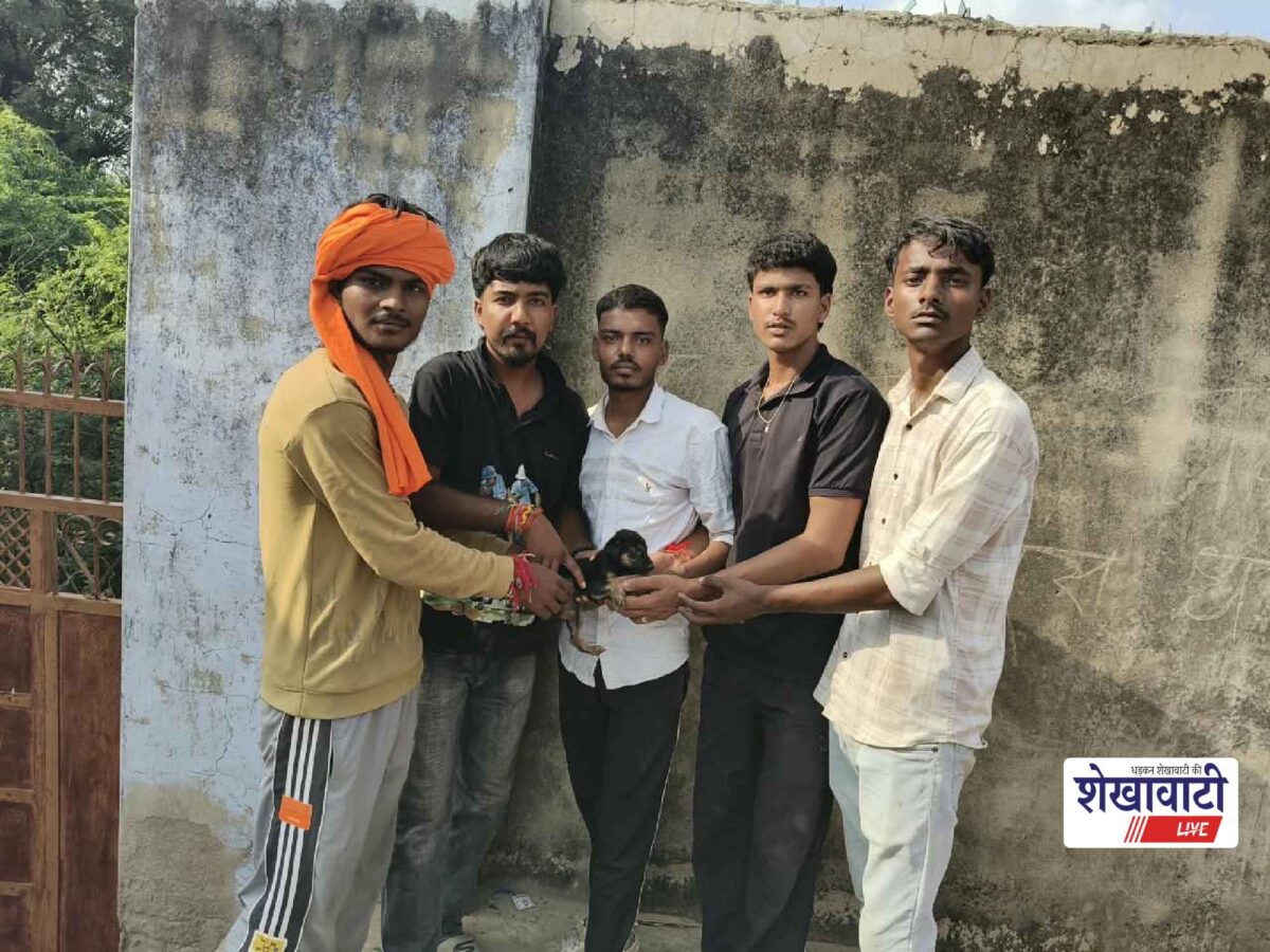 chirawa-200-feet-deep-well-dog-rescue-gaurakshak