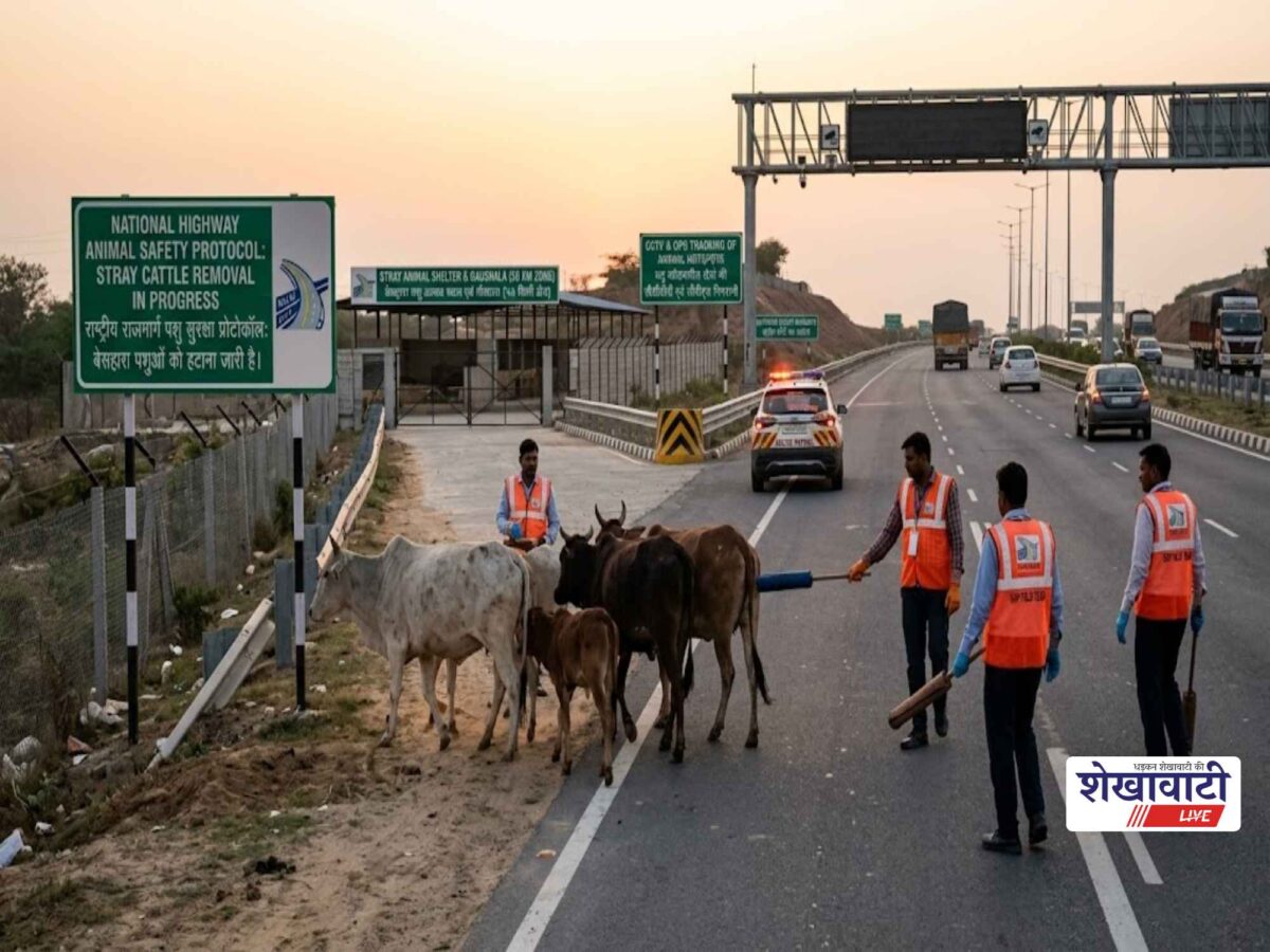 national-highways-stray-cattle-sop-shelter-responsibility