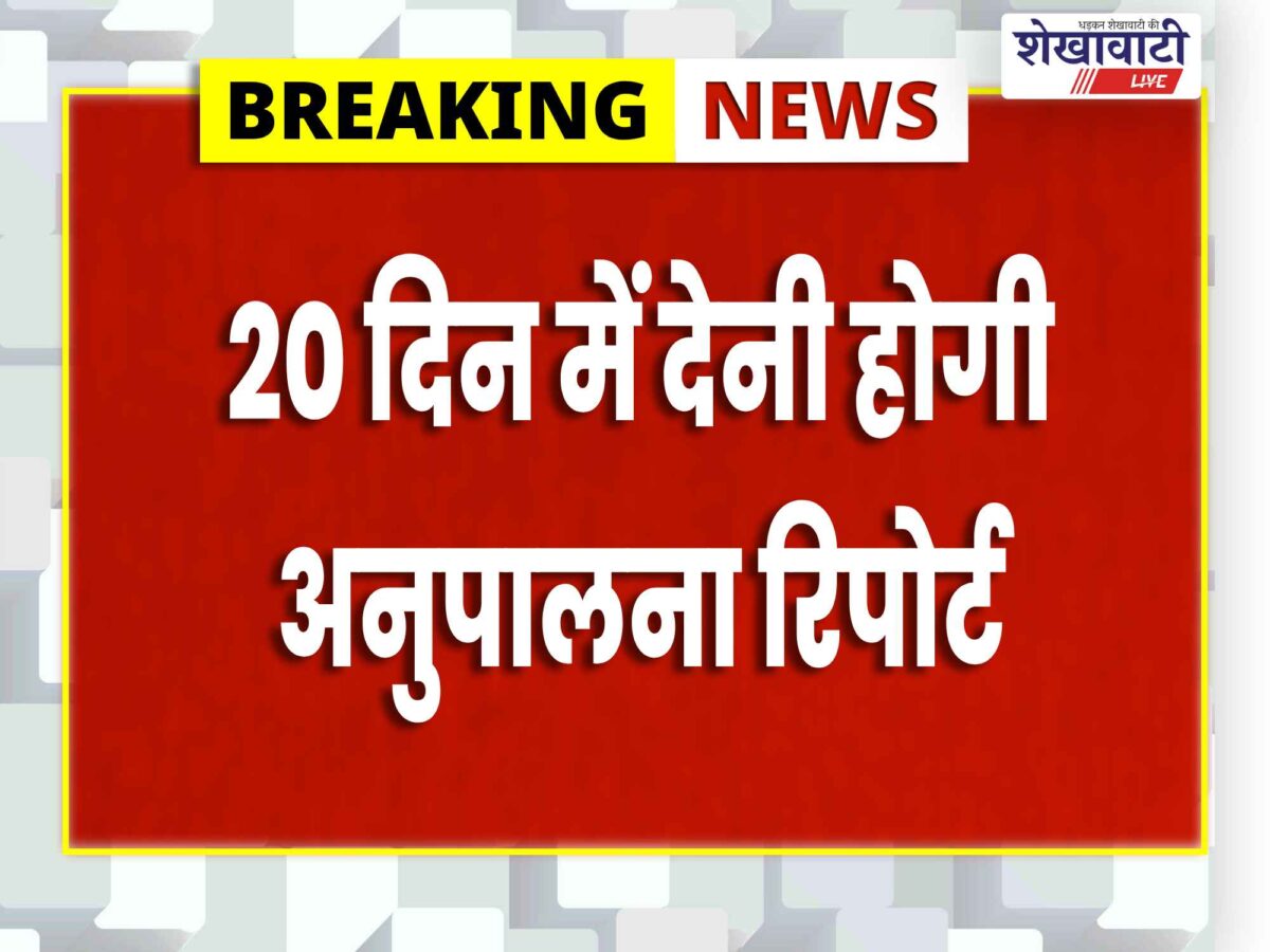 sikar-sarwadi-panchayat-irregularity-three-employees-penalty