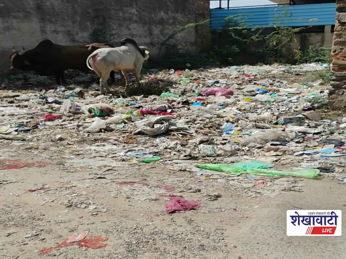 chirawa-old-vegetable-market-garbage-problem