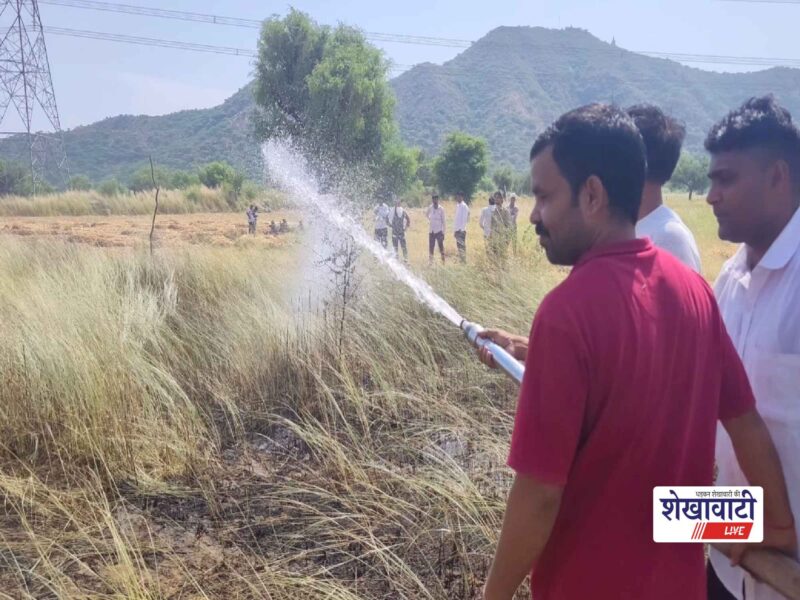 singhana-gurjarwas-bajra-field-fire-fire-brigade