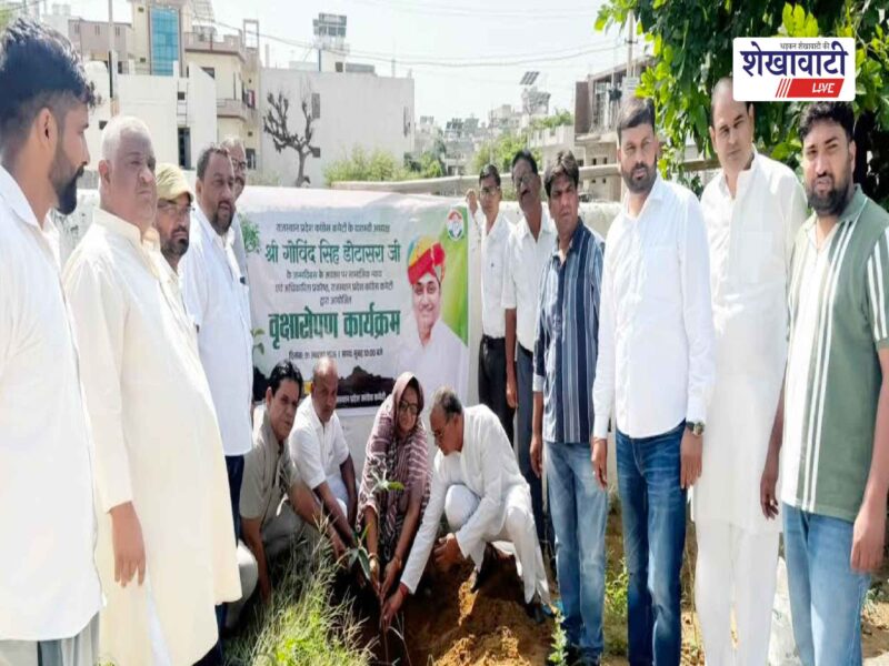 sikar-dotasara-birthday-tree-plantation-congress-program