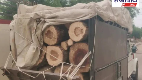 हरी लकड़ी की तस्करी का पर्दाफाश, तीन गाड़ियां जब्त