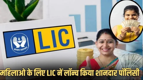 दिवाली से पहले LIC नें महिलाओं को दिया बड़ा तोहफा, लॉन्च की ये दो धांसू पॉलिसी, मिलेगा फायदा ही फायदा
