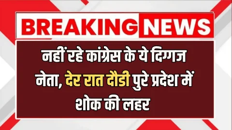 Rajasthan : नहीं रहे कांग्रेस के ये दिग्गज नेता, 2 साल से कोमा में थे; देर रात दौडी पुरे प्रदेश में शोक की लहर