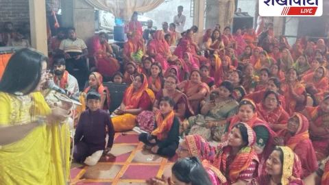 शाकंभरी धाम में सिंधारा एवं झूलन महोत्सव सम्पन्न