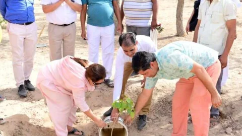 सुनिश्चित जवाबदेही के साथ वृक्षारोपण से प्राकृतिक संपदा का होगा प्रभावी संरक्षण – सत्यानी