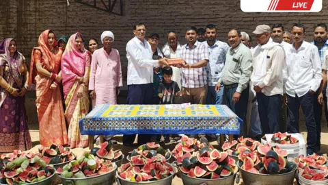 गौसेवा कर चिड़ावा के हितेश शिल्ला ने मनाया जन्मदिन