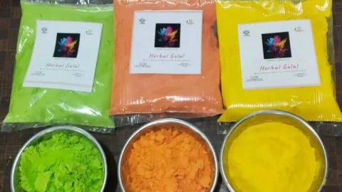 राजिविका स्वयं सहायता समूह की महिलाओं ने होली के लिए तैयार किया हर्बल गुलाल