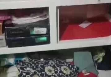 शादी में गया परिवार पीछे से चोरों ने घर किया साफ