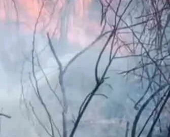 बीहड़ में लगी आग, तीन दिन के भीतर दूसरी बड़ी आग की घटना