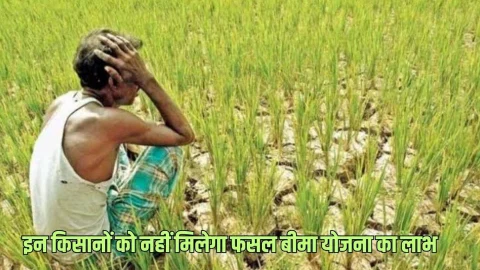 Rajasthan: राजस्थान के इन किसानों को नहीं मिलेगा प्रधानमंत्री फसल बीमा योजना का लाभ, जानिए क्या है कारण