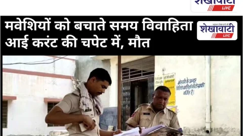 Video News Churu: मवेशियों को छुड़ाते वक्त करंट की चपेट में आई विवाहिता