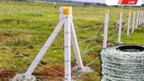 Sikar News – अब 0.5 हेक्टेयर भूमि वाले किसानों को भी मिलेगा तारबंदी योजना का लाभ