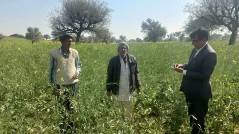 जिला कलेक्टर पंहुचे खेतों में, स्वयं लिया फसलों में हुए नुकसान का जायजा