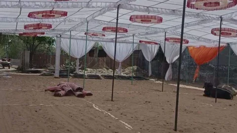 मुख्यमंत्री के प्रस्तावित दौरे को लेकर तैयारियों का लिया जायजा