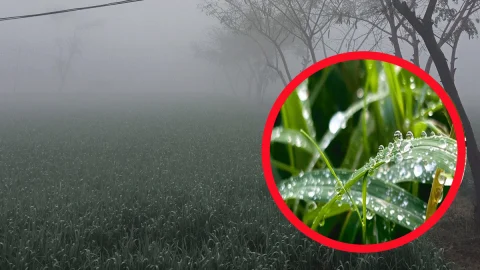 राजस्थान में भयंकर ठंड का अलर्ट, इन जिलों में 5 डिग्री सेल्सियस तक जाएगा तापमान, पढ़े IMD का ताज़ा अलर्ट