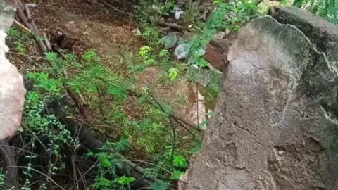 लगातार दूसरे दिन बारिश, गर्मी से मिली राहत