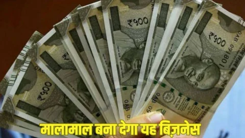 Business Idea: 2000 के खर्च में शुरू करें ये शानदार बिजनेस, हर महीने होगी 30000 की कमाई, बन जाएंगे मालामाल