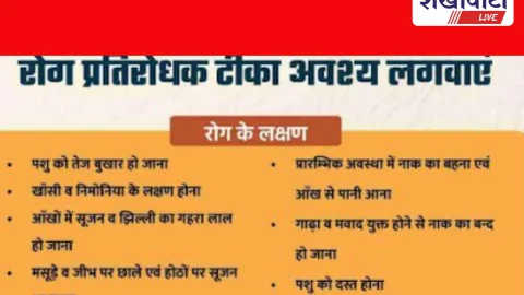 Churu News: नि:शुल्क एफएमडी और पीपीआर टीकाकरण अभियान शुरू