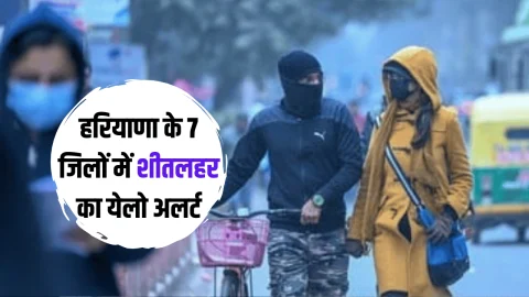 Haryana Weather : हरियाणा के 7 जिलों में शीतलहर का येलो अलर्ट; अगले 5 दिन ऐसा रहेगा मौसम का हाल, देखें जल्दी