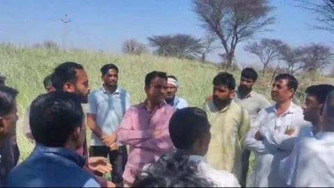 चूरू जिले में भारी ओलावृष्टि से फसलें तबाह, किसानों को मिले विशेष मुआवजा पैकेज – सांसद राहुल कस्वां