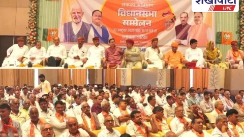 भाजपा का दीपावली स्नेह मिलन समारोह  आयोजित