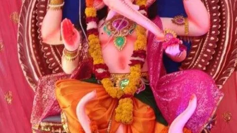 गणपति बप्पा के मोरिया के जयकारों से गुज उठा हीरवा में पंडाल