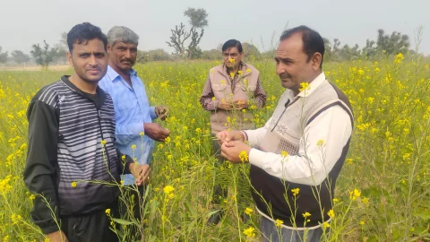 राजस्व अधिकारी स्वयं फील्ड में जाकर रबी फसल में पाला एवं शीतलहर से हुए खराबे का भौतिक सत्यापन करें – जिला कलेक्टर
