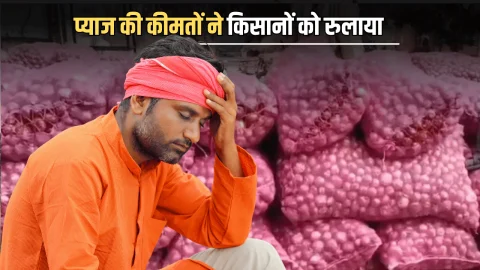 Onion Price Today : प्याज की कीमतों ने किसानों को रुलाया, राजस्थान में 1000 करोड़ के नुकसान का अनुमान