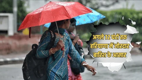 Haryana Ka Mousam: अगले 72 घंटों तक हरियाणा में जोरदार बारिश के आसार, आज 8 जिलों के लिए जारी हुआ अलर्ट
